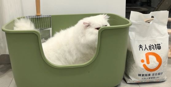 猫砂哪个品牌好用？夫人的猫酵素除臭混合猫砂，3秒结团不粘底