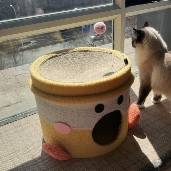 四季通用猫窝选哪个?AILUKI猫窝冬暖夏凉,全年舒适安居 四季通用猫窝选哪个?AILUKI猫窝冬暖夏凉,全年舒适安居