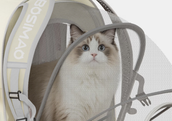 猫包买哪种比较好?有了BOSIMAO猫包20斤肥崽也能横着走! 猫包买哪种比较好?有了BOSIMAO猫包20斤肥崽也能横着走!