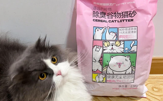 宠佰星猫砂多少钱