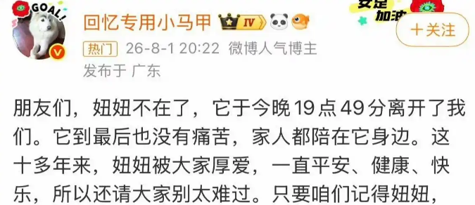 网红小狗“妞妞”离世,主人深夜发文送别,网友留言悼念 网红小狗“妞妞”离世,主人深夜发文送别,网友留言悼念