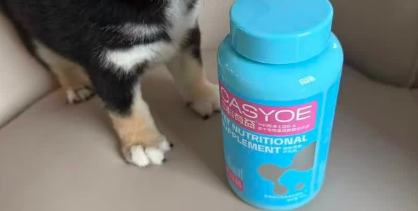 宠物软骨素品牌推荐——CASYOE中科有益全方位守护狗狗关节健康 宠物软骨素品牌推荐——CASYOE中科有益全方位守护狗狗关节健康