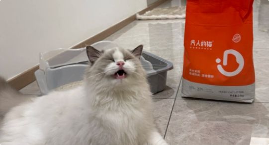 夫人的猫猫砂现在能用吗