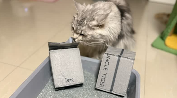 虎叔UNCLETIGER猫砂好用吗