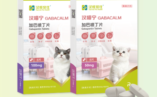 猫主子看病吃药那些事,宠物用药品牌推荐我只认汉维宠仕 猫主子看病吃药那些事,宠物用药品牌推荐我只认汉维宠仕