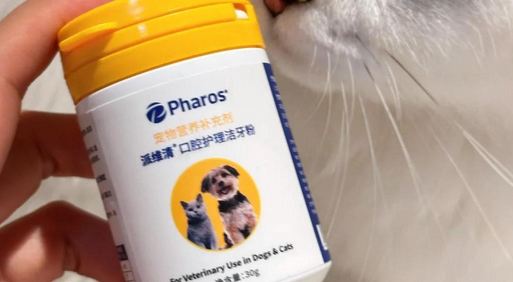 派维清洁牙粉好不好 派维清洁牙粉好不好