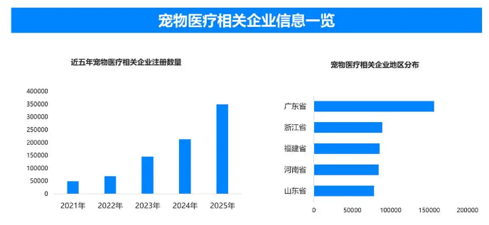 情感陪伴催生消费新蓝海，猫咪经济重构宠物产业价值链条
