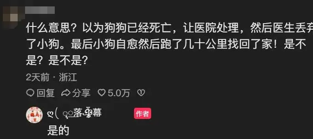 小狗被医院宣布死亡，半个月后却横跨几十公里自己跑回家
