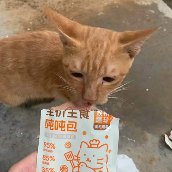 猫咪主食包选哪个?宝之龙双拼爆珠黑科技,实现美毛养护 猫咪主食包选哪个?宝之龙双拼爆珠黑科技,实现美毛养护