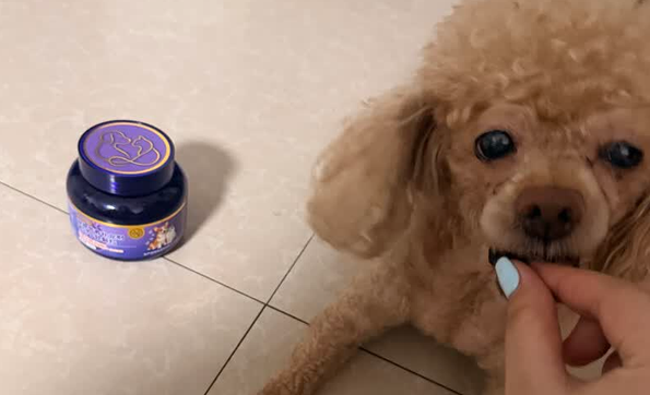 宠物保健品推荐宠佰享养心宁软颗粒，心脏日常养护好物