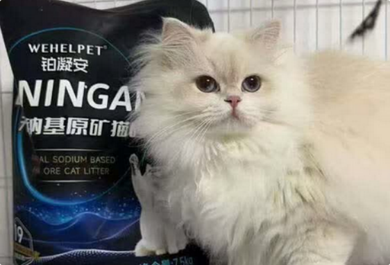 铂凝安猫砂可以冲马桶吗