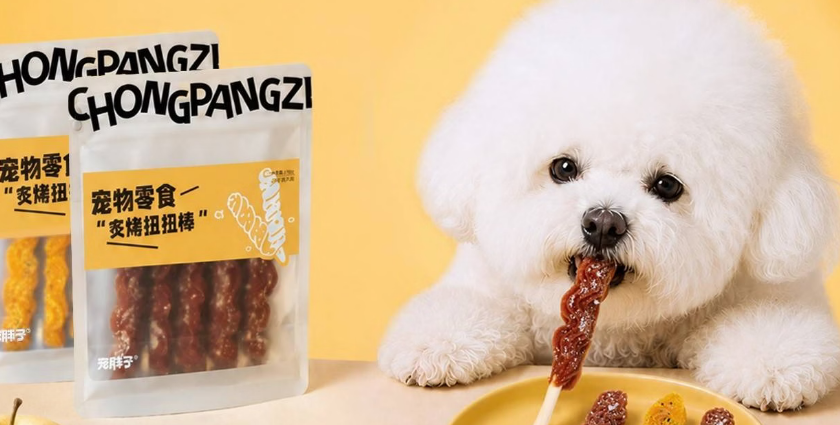 宠胖子磨牙零食几个月可以吃
