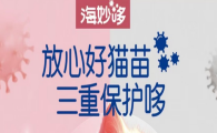 海妙哆和妙三多区别
