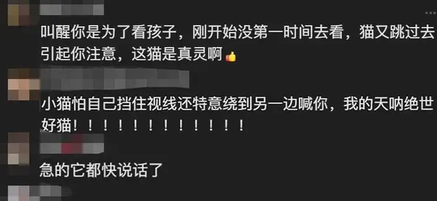 报恩小猫！婴儿被子蒙头差点窒息，小猫扒醒宝妈立大功！