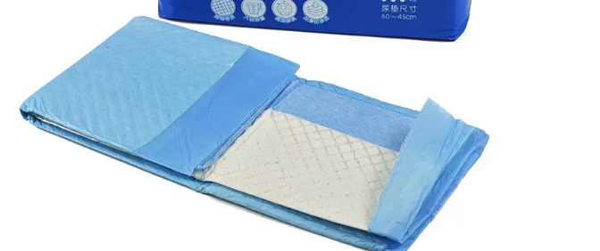 倍迪奥Besio宠物尿垫值得选购吗？实用型宠物清洁好物解析