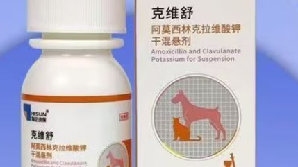 克维舒宠物药怎么样 克维舒宠物药怎么样