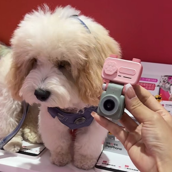 宠物手机推荐乐宠它PetPhone，重塑现代化 AI 养宠新体验