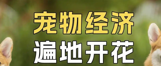 宠物经济崛起:万亿市场待掘金,国产替代与集中度提升成新机遇