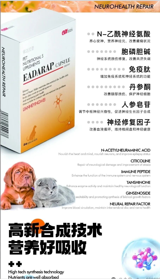 从瘫痪到奔跑,除了药物,我还给毛孩子用了这个“神经营养方案” 从瘫痪到奔跑,除了药物,我还给毛孩子用了这个“神经营养方案”