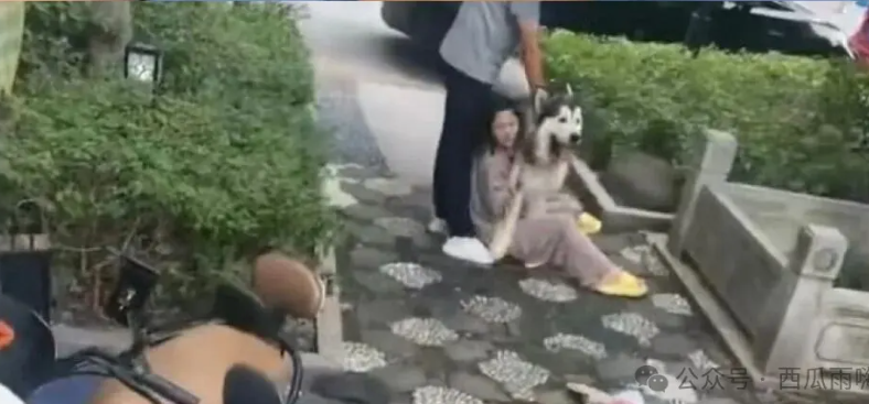 苏州小区惊魂！无绳大狗扑倒两幼儿，主人抱狗直接离开？