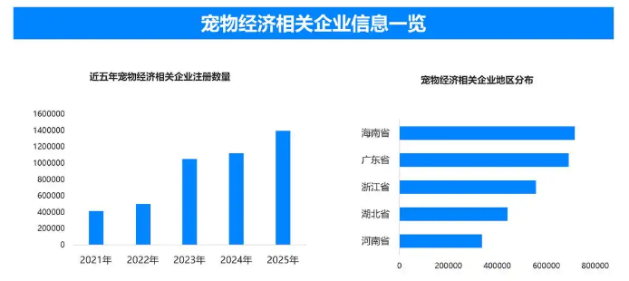 情感陪伴催生消费新蓝海，猫咪经济重构宠物产业价值链条