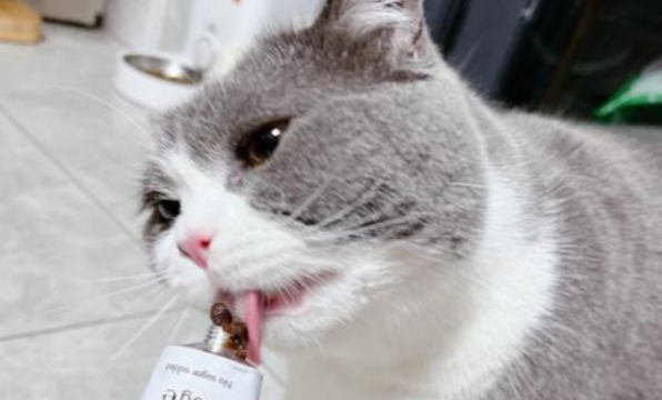 猫咪掉毛厉害，就一定要喂食化毛膏吗？