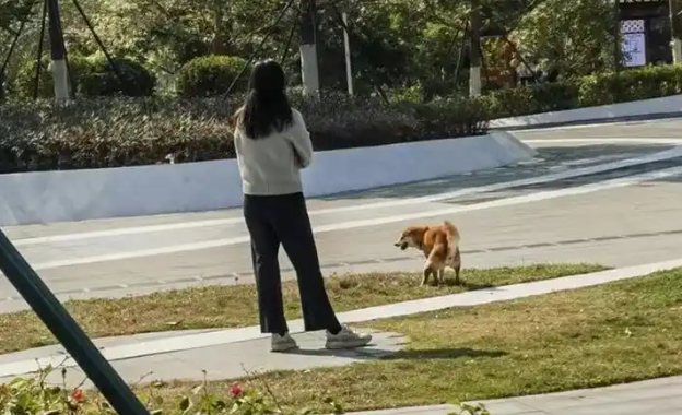 小区遛狗不牵绳起争执，路人遭犬只咬伤引热议