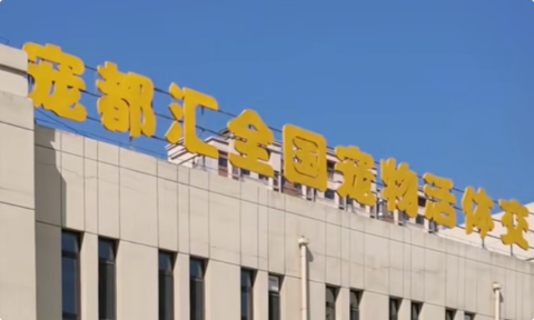 杭州宠都汇科技有限公司怎么样 杭州宠都汇科技有限公司怎么样