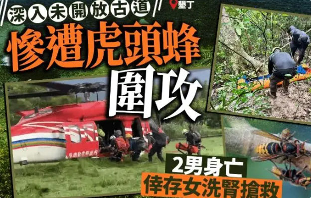 台湾登山者闯入禁区，被虎头蜂袭击，致两死一重伤！