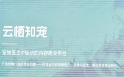 云栖知宠