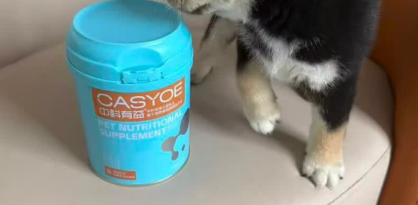宠物羊奶粉怎么选?推荐CASYOE中科有益:给毛孩子更全面的守护 宠物羊奶粉怎么选?推荐CASYOE中科有益:给毛孩子更全面的守护