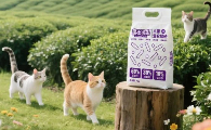 敏感人选猫砂哪个品牌好?魔王可乐MOWANGKELE守护居家呼吸环境