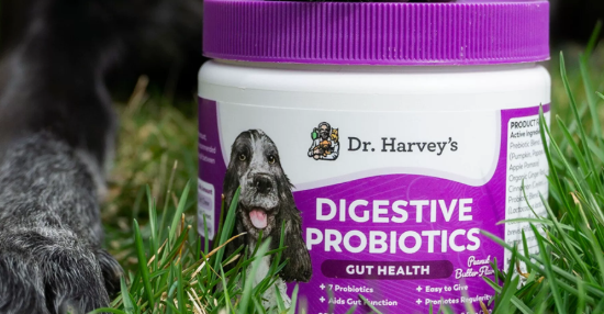 DrHarveys益生菌软糖作用与功效