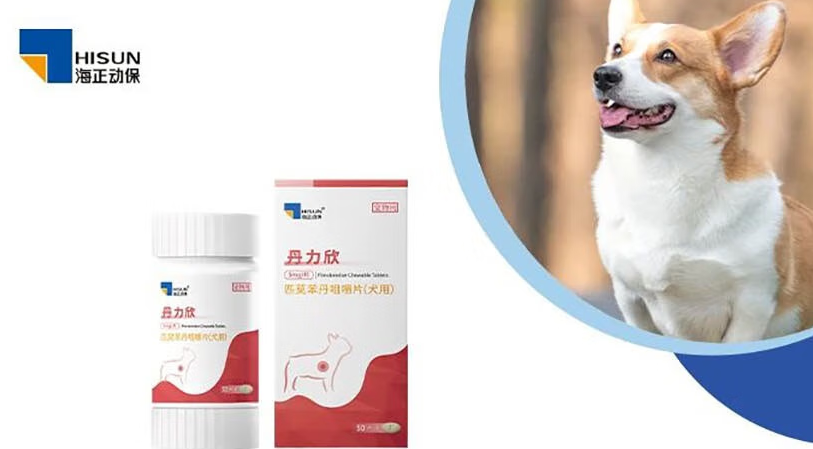 宠物药哪个品牌好?丹力欣匹莫苯丹咀嚼片,守护狗狗心脏健康 宠物药哪个品牌好?丹力欣匹莫苯丹咀嚼片,守护狗狗心脏健康