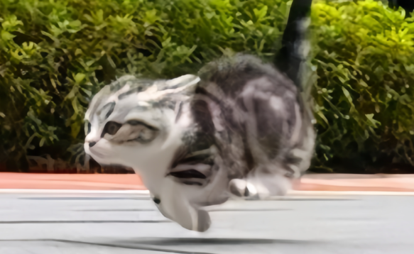 猫咪总半夜跑酷捣乱该怎么纠正？