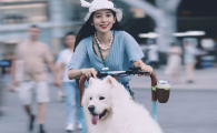 谛听守护联盟乡村旅游新模式和普通景区相比优势在哪?从池州青阳授牌仪式看差异化定位