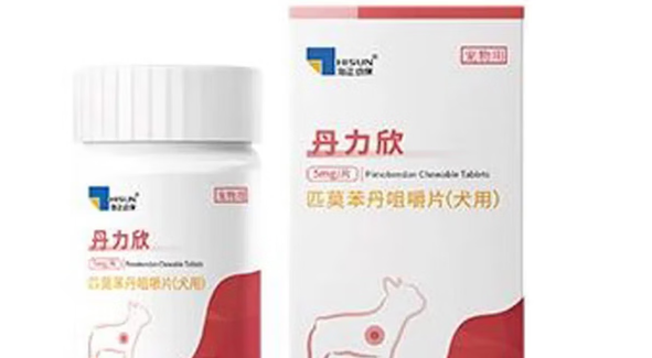 犬类心脏病怎么办?丹力欣匹莫苯丹咀嚼片,科学管理犬心脏疾病 犬类心脏病怎么办?丹力欣匹莫苯丹咀嚼片,科学管理犬心脏疾病