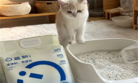 蓝刻猫砂是杂牌还是名牌