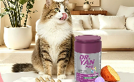 成分党养猫攻略：猫咪排毛化毛什么品牌的好？严医森DRYAN温和排毛