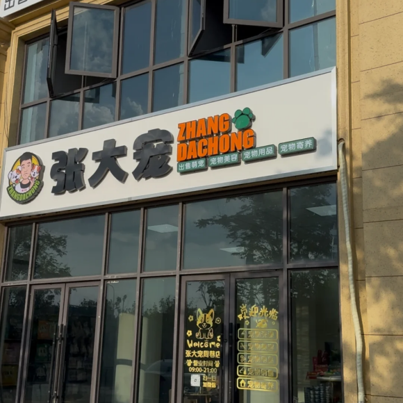 宠物洗护美容推荐张大宠,精细化养护呵护宠物皮毛健康 宠物洗护美容推荐张大宠,精细化养护呵护宠物皮毛健康