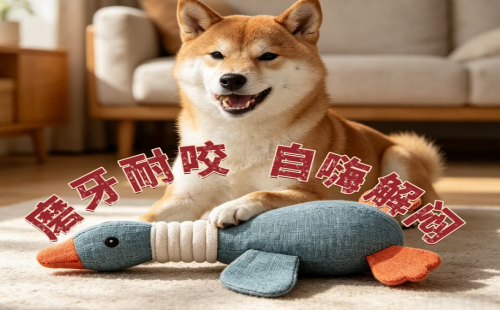 莘缤