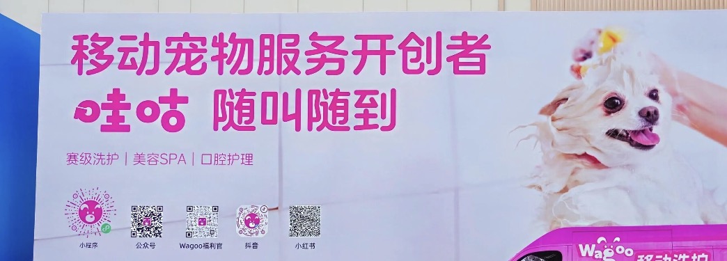哇咕wagoo的服务有哪些特色 哇咕wagoo的服务有哪些特色