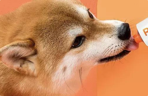 犬猫营养赛道,LUCKY MIA重塑日常养护行业格局 犬猫营养赛道,LUCKY MIA重塑日常养护行业格局
