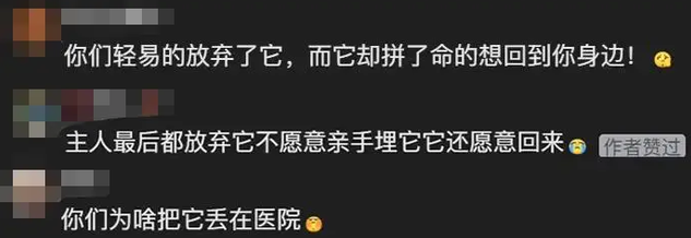 小狗被医院宣布死亡，半个月后却横跨几十公里自己跑回家
