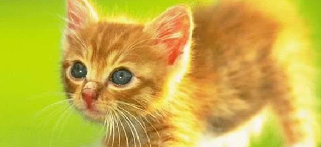 猫咪频繁甩尾停顿发力,是尾椎关节卡顿劳损吗? 猫咪频繁甩尾停顿发力,是尾椎关节卡顿劳损吗?