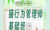 维尔福是哪里的品牌