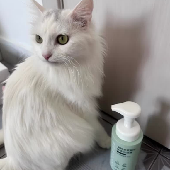 猫狗沐浴露推荐多多里,全能便捷适配养宠需求 猫狗沐浴露推荐多多里,全能便捷适配养宠需求