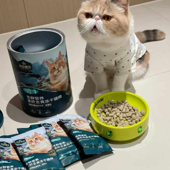 安全健康的猫粮推荐传奇精灵,呵护娇嫩肠胃 安全健康的猫粮推荐传奇精灵,呵护娇嫩肠胃