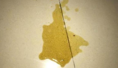 猫咪肚子一抽一抽的吐黄水是什么原因 猫咪肚子一抽一抽的吐黄水是什么原因