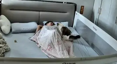 报恩小猫！婴儿被子蒙头差点窒息，小猫扒醒宝妈立大功！